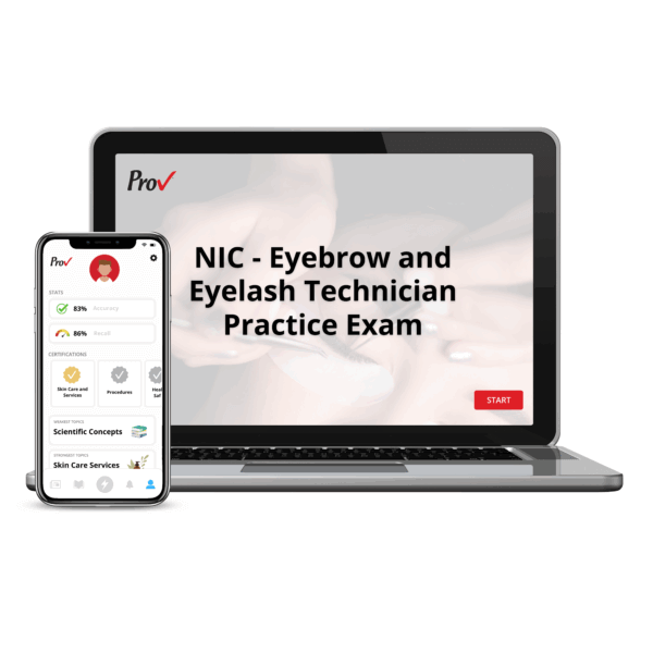 Eyelash and Eyebrow Technician Practice Exam